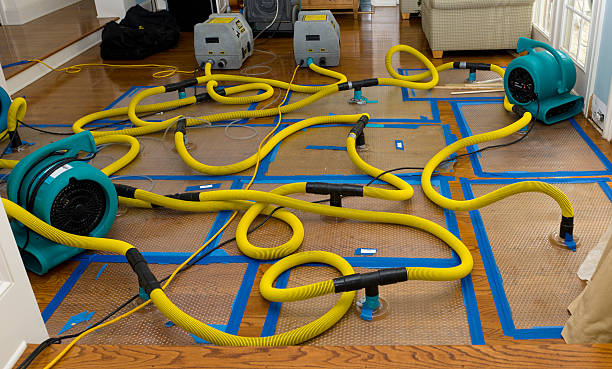 Professional Water Damage Restoration technician working in Sharon, MA